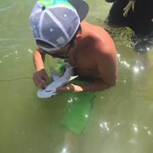 Meet your Posher, Mark